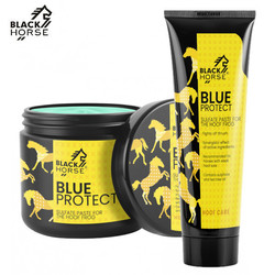 Pasta siarczanowa do strzałek Black Horse Blue Protect