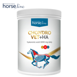 HorseLine Pro ChondroVet+HA regeneracja i ochrona aparatu ruchu