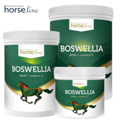 HorseLine Pro Boswellia Seratta profilaktyka aparatu ruchu