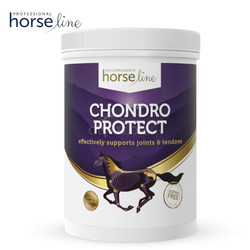 HorseLine Pro ChondroProtect zdrowe i mocne stawy