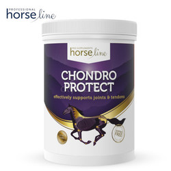 HorseLine Pro ChondroProtect suplement na stawy z glukozaminą i chondroityną