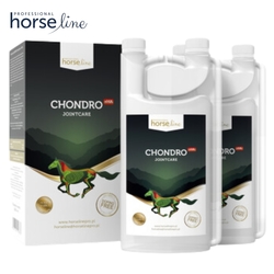 HorseLine Pro Chondro+HA ochrona stawów 2 x 1000ml