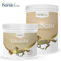 HorseLine Pro Collagen kolagen typu II