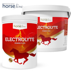 HorseLine Pro Electrolyte Power Plus po wysiłku