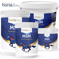 HorseLine Pro MSM ochrona i regeneracja apratu ruchu