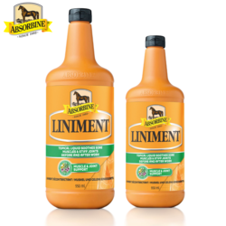 Wcierka rozgrzewająca Absorbine