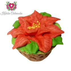 Smakołyki Końska Cukierenka Muffinki gwiazda betlejemska