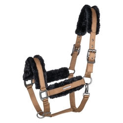 Kantar Waldhausen Paris Cappuccino