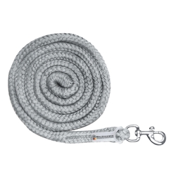 Uwiąz Waldhausen Economic karabinek zwykły chrome grey