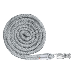 Uwiąz Waldhausen Economic karabinek bezpieczny chrome grey