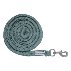 Uwiąz Waldhausen Plus karabinek zwykły pine green