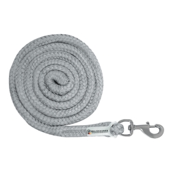 Uwiąz Waldhausen Plus karabinek zwykły chrome grey