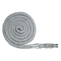Uwiąz Waldhausen Plus karabinek bezpieczny chrome grey