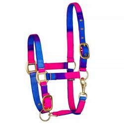 Kantar Start Ombre blue/pink/purple