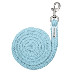 Uwiąz Waldhausen Plus karabinek zwykły Light Blue