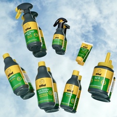 Zdjęcie małej galerii